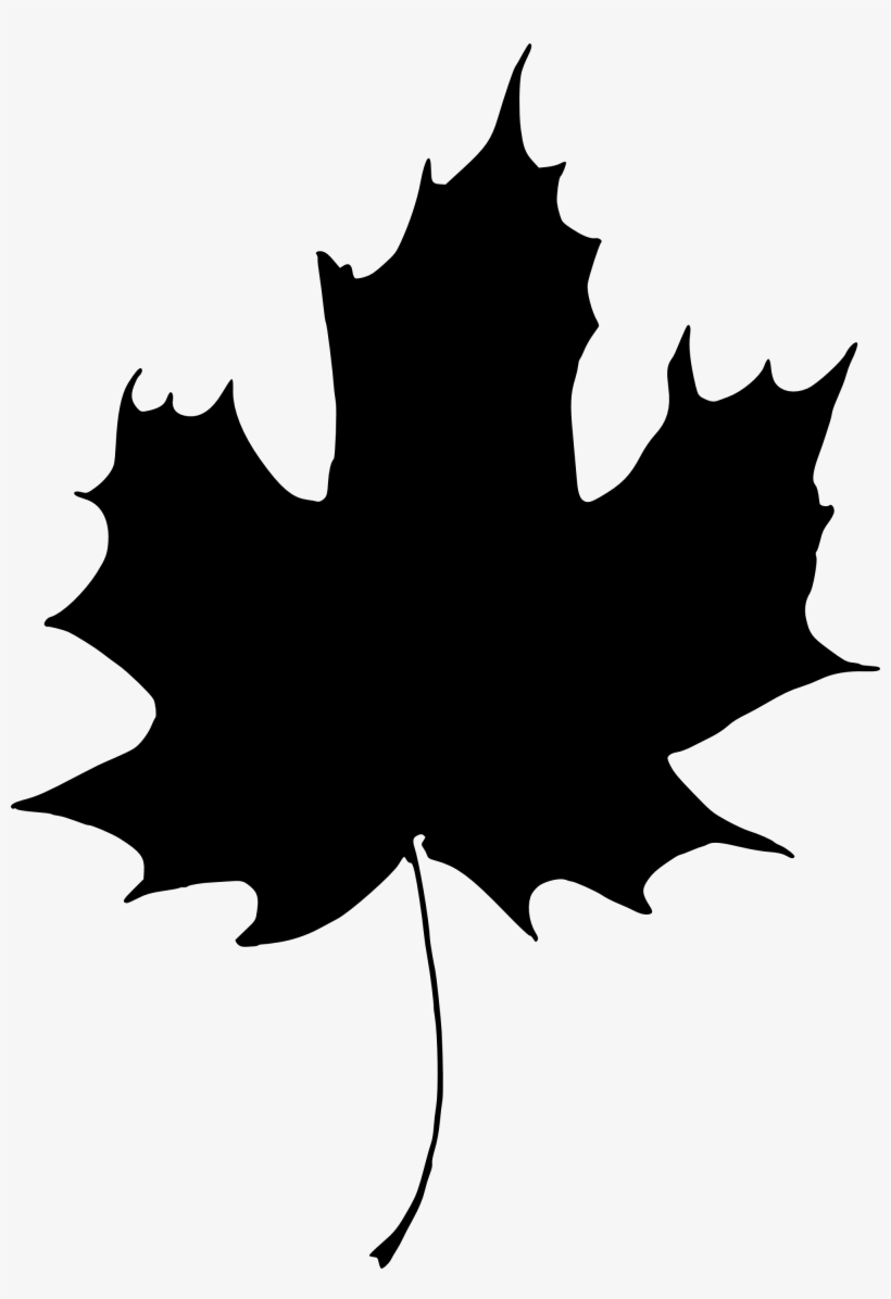 Holly Leaf Silhouette - Portable Network Graphics, transparent png download