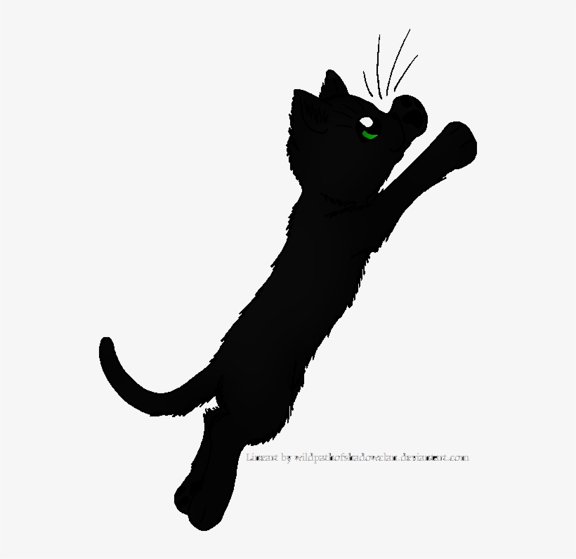 Hollyleaf - Warrior - Cat, transparent png download