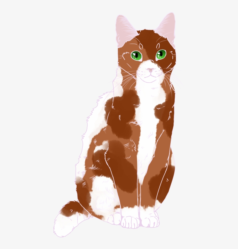 Applesong - Star - Domestic Short-haired Cat, transparent png download