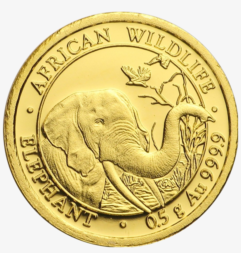 Gold Coins Falling Png For Kids - Gold Coin, transparent png download