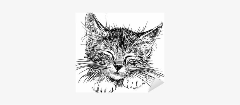Cats Are My Favorite People, transparent png download