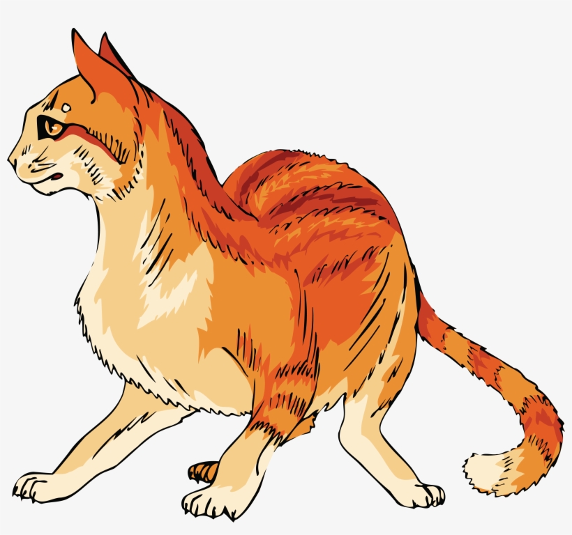 Illustration Of A Sleeping Cat - Cat Clipart Orange Cat Png, transparent png download