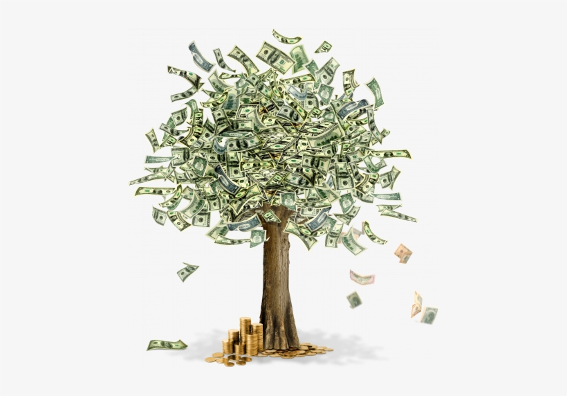 Download Watering Money Tree Clipart Money Trees Transparent PNG