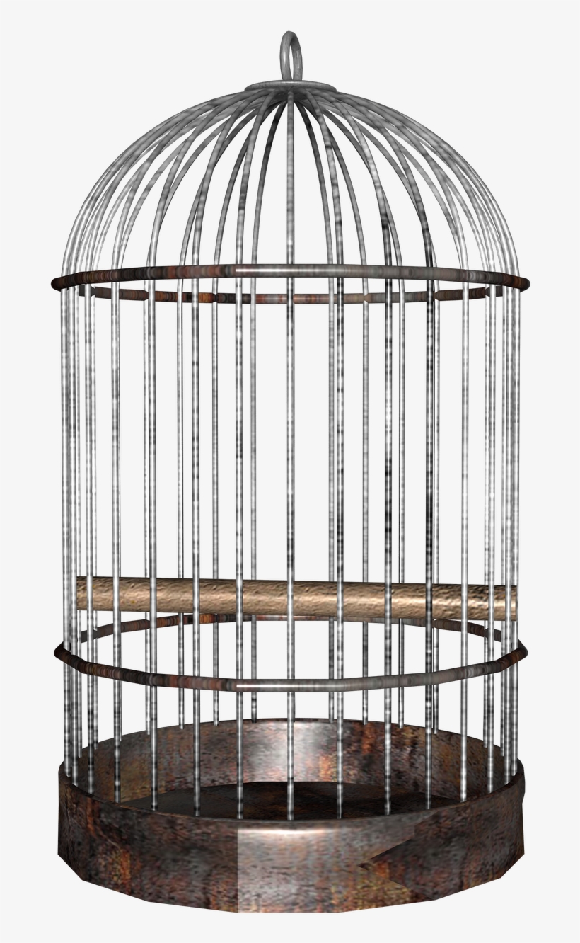 Bird Cage - Bird Cage Png, transparent png download