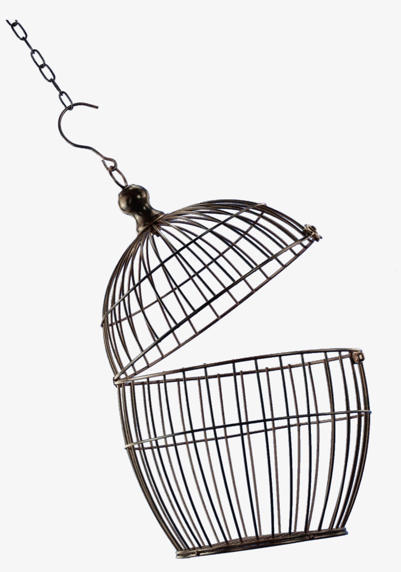 Open Bird Cage Png - Birds Cage Png, transparent png download