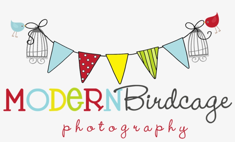 Modern Birdcage Photography - Birthday, transparent png download