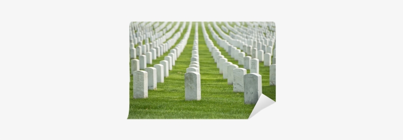 Arlington National Cemetery, transparent png download