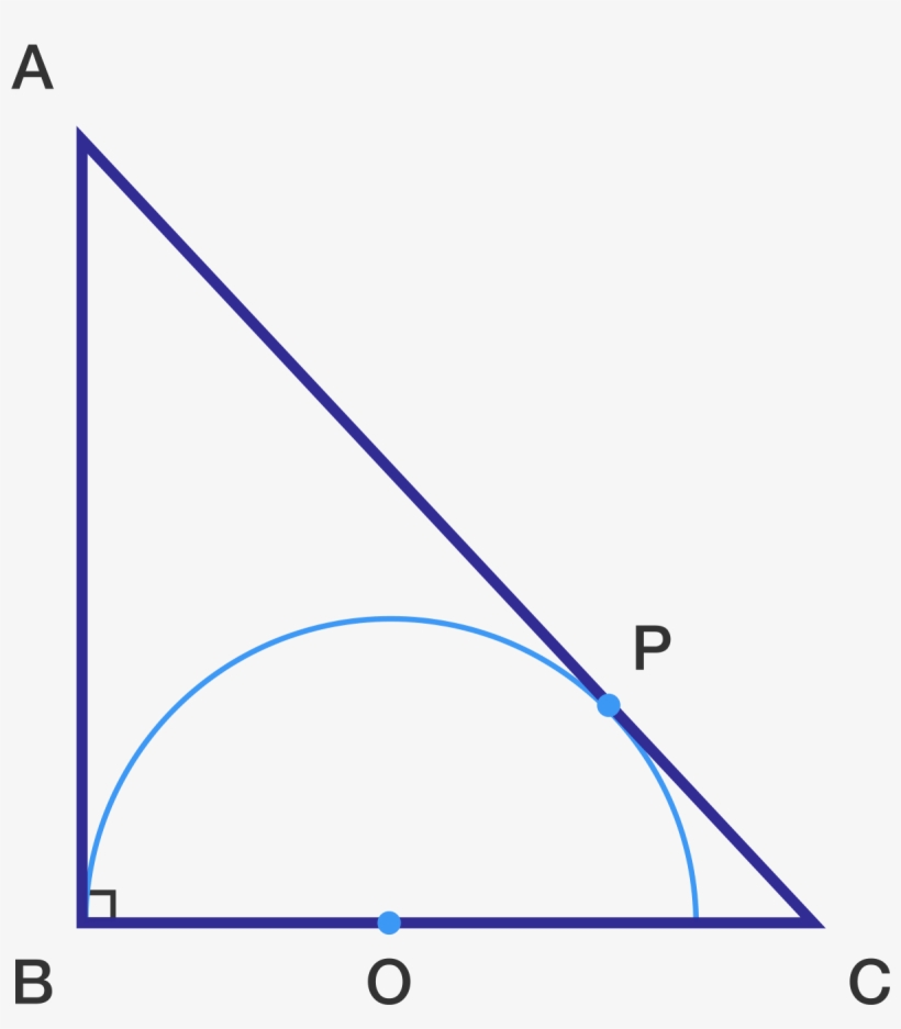 Semi-circle Is All Set To Blow Your Mind - Library, transparent png download