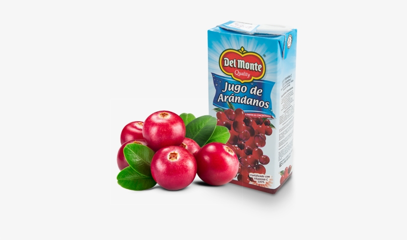 72598e 77f6e8ec7 - Jugo De Arandano Del Monte, transparent png download