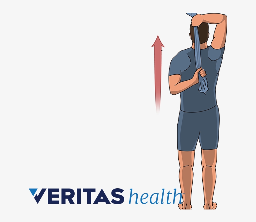 Shoulder Stretch, transparent png download