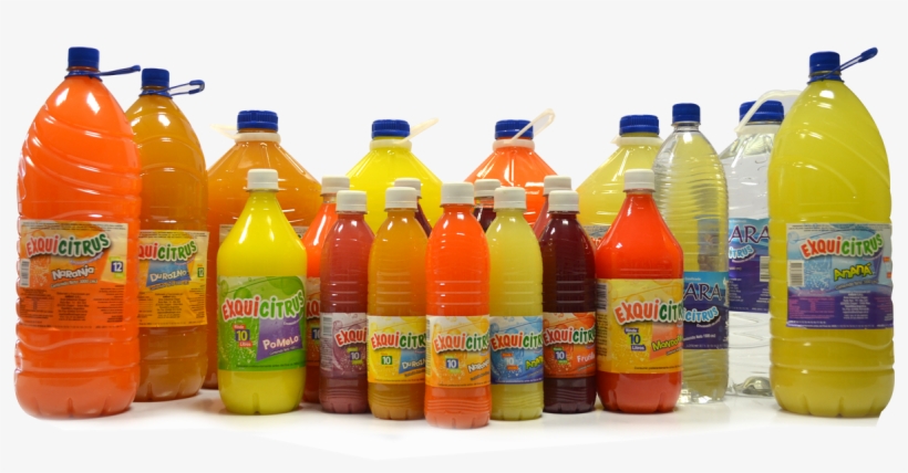 #equicitrus Hashtag On Twitter - Photography, transparent png download