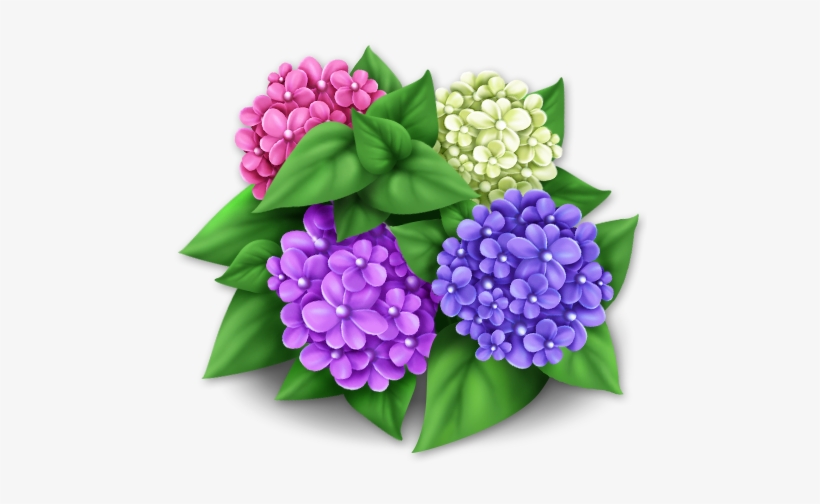 Purple Hydrangeas - November 29, transparent png download
