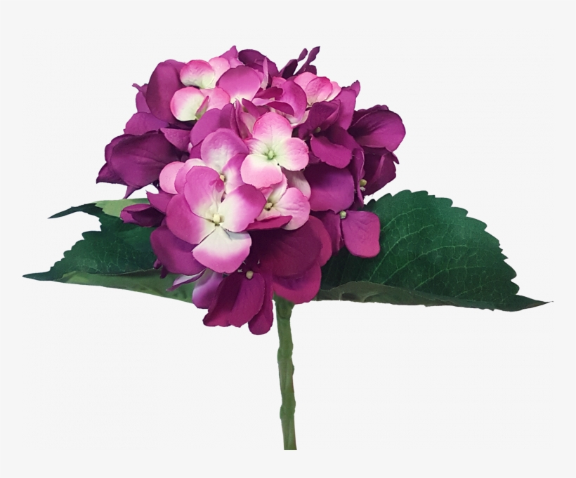 49cm Lge Hydrangea 5 Lvs - Artificial Flower, transparent png download