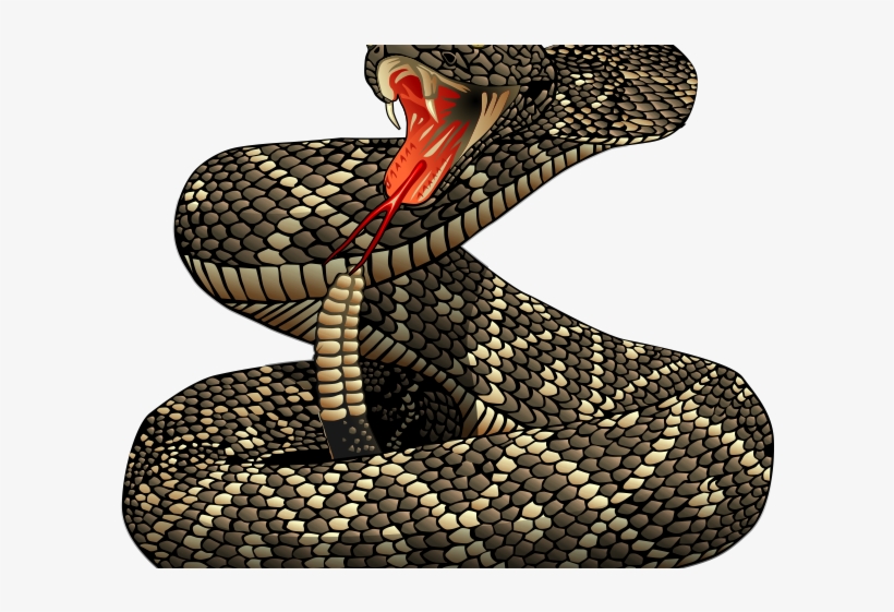 Rattlesnake Free On Dumielauxepices Net - Rattle Snake Clip Art, transparent png download