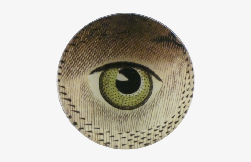 Sea Weather Cock Eye - Circle, transparent png download