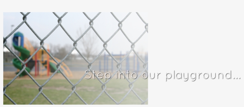 Snake Eyes - Australia Zoo, transparent png download