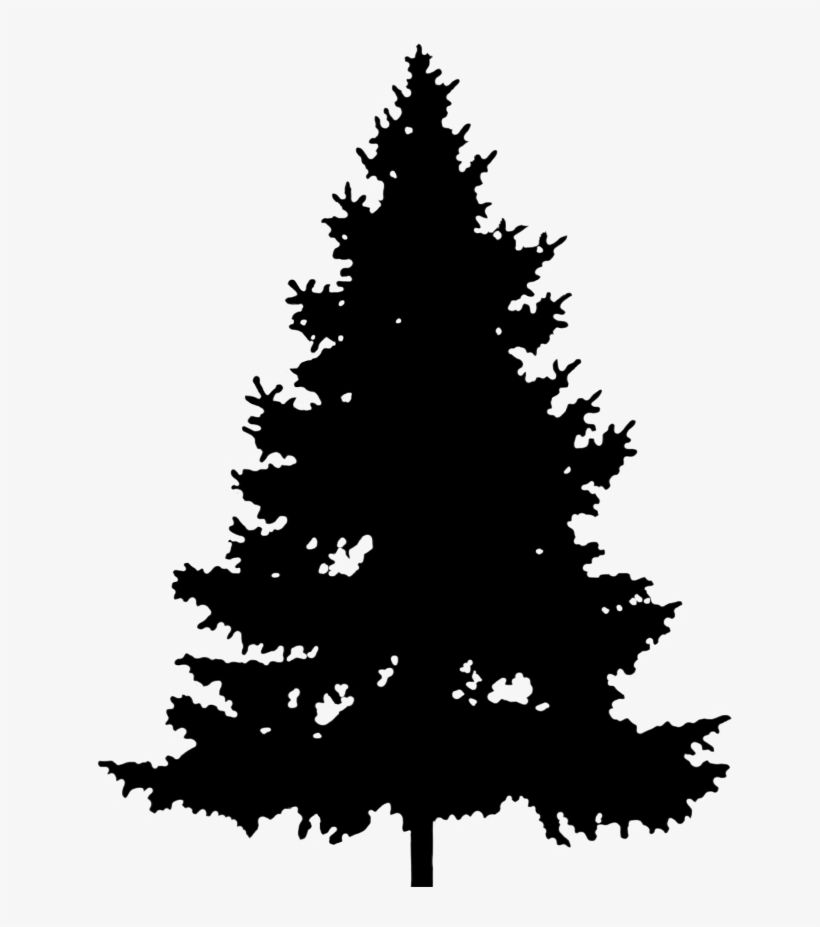 Christmas Group Graphics - Pine Tree Clipart, transparent png download