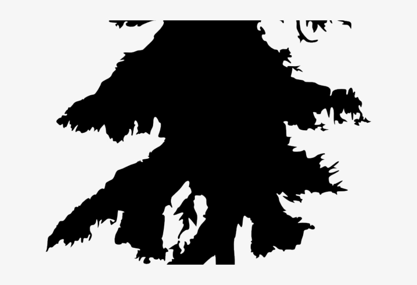 Drawing Pine Tree Black And White, transparent png download