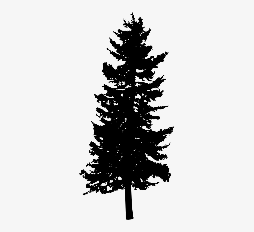 30 Pine Tree Silhouette Png Transparent Vol 2 Onlygfxcom - Portable Network Graphics, transparent png download