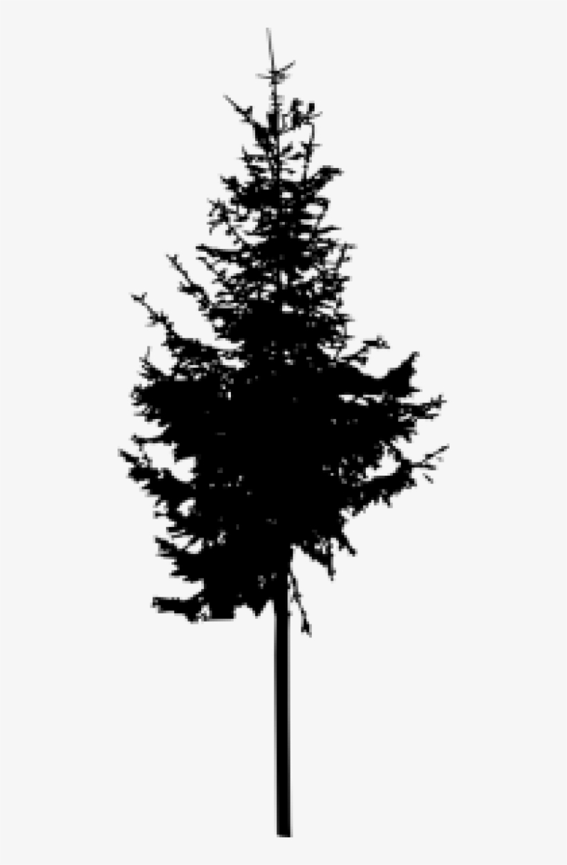 Free Png Pine Tree Silhouette Png Images Transparent - Portable Network Graphics, transparent png download
