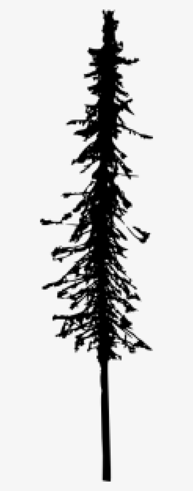 Free Png Pine Tree Silhouette Png Images Transparent - Portable Network Graphics, transparent png download