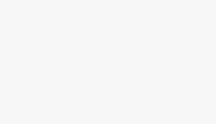 Arvore 02 Jul 2013 - Chickadee And The Cat, transparent png download