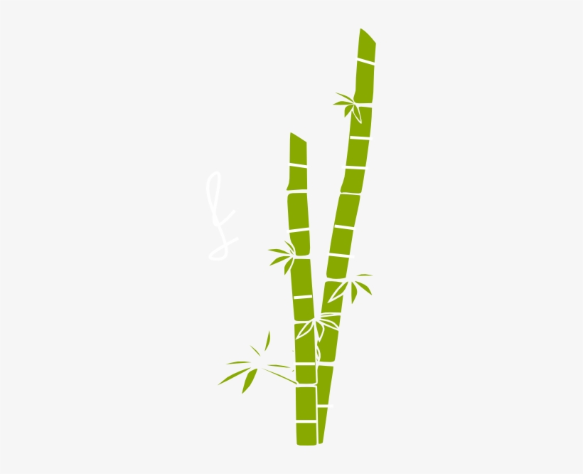 Bamboo Transparent, transparent png download