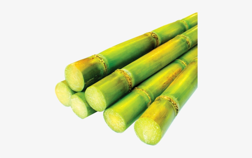 “aloha Sugar” Video Contest - Major Crops Of Pakistan, transparent png download