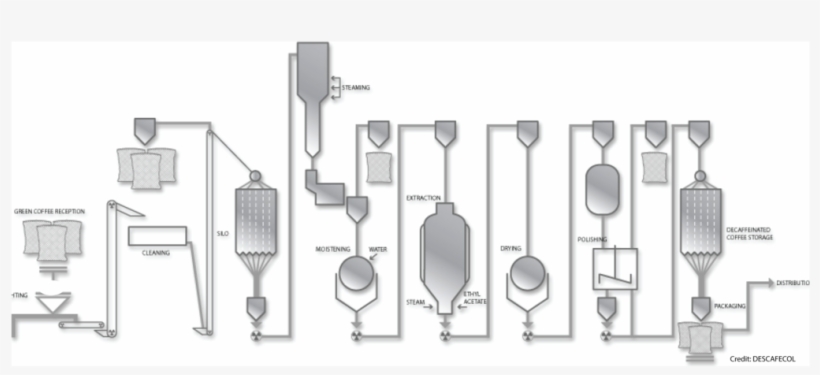 I'll Be Honest, We Don't Drink A Lot Of Decaf At The - Decaffeination, transparent png download