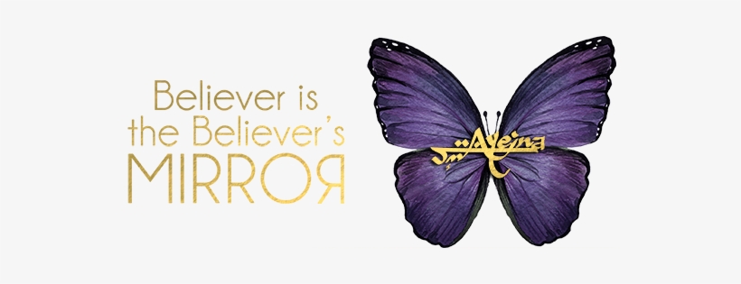 Ayeina - Gratitude Journal, transparent png download