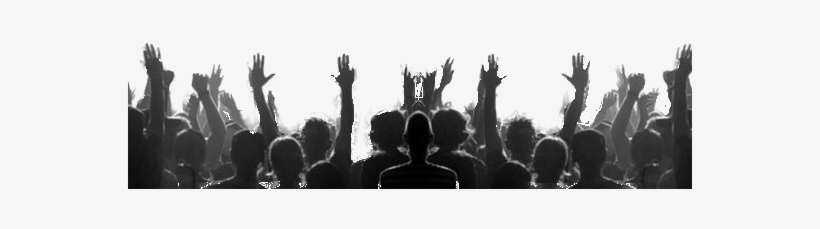 Local And Live Music In Tidewater Virginia - Super Fans: How To Create Unwavering Customer Loyalty, transparent png download