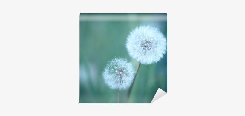 Sticker, transparent png download