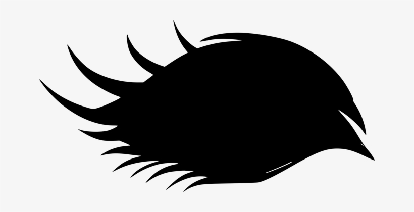 Feather, Silhouette, Sticker 👉 If You Find This Image - Illustration, transparent png download