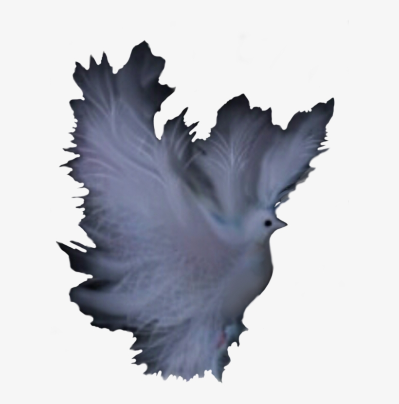 Delicate Computer Icons Silhouette Bird - Clip Art, transparent png download