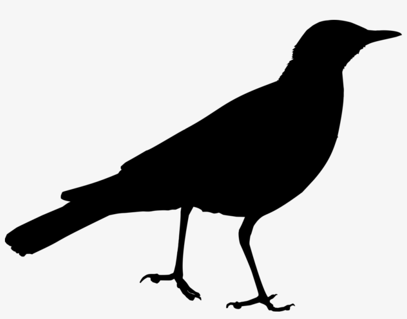 Bird Silhouette Beak Swallow Common Ostrich - Clipart Bird Silhouette, transparent png download