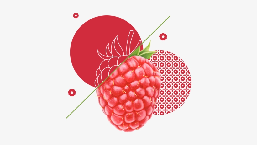 Raspberry Clipart Pink Fruit - Transparent Raspberry, transparent png download