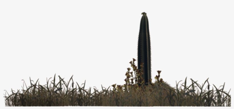 Desert Plants Png - Desert Vegetation Png, transparent png download