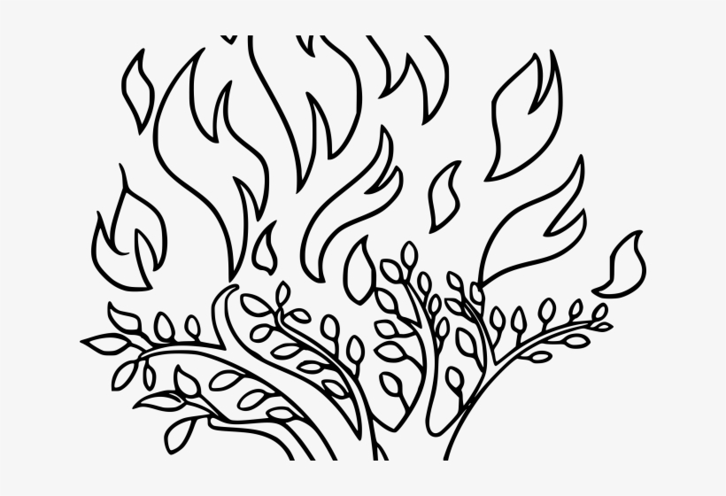 Bush Clipart Desert Shrub - Burning Bush Coloring Page, transparent png download