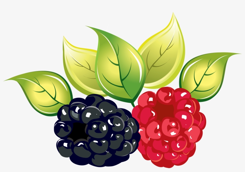 Ежевика Клипарт, transparent png download