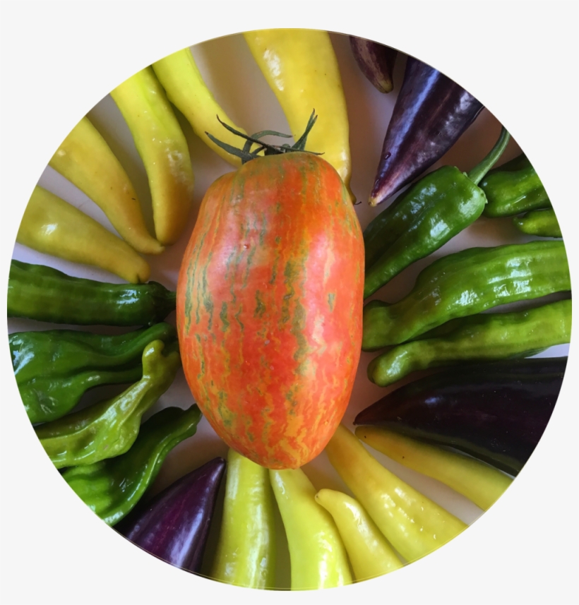 Img 4785 - Jpeg, transparent png download