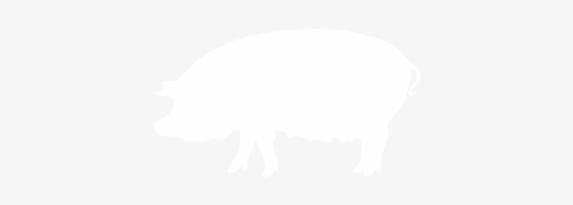 Swine Products - Domestic Pig, transparent png download