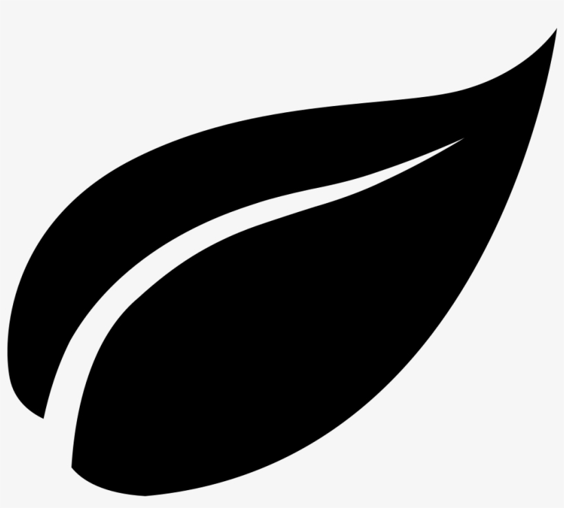 Leaf Black Shape - Leaf Logo Black And White, transparent png download