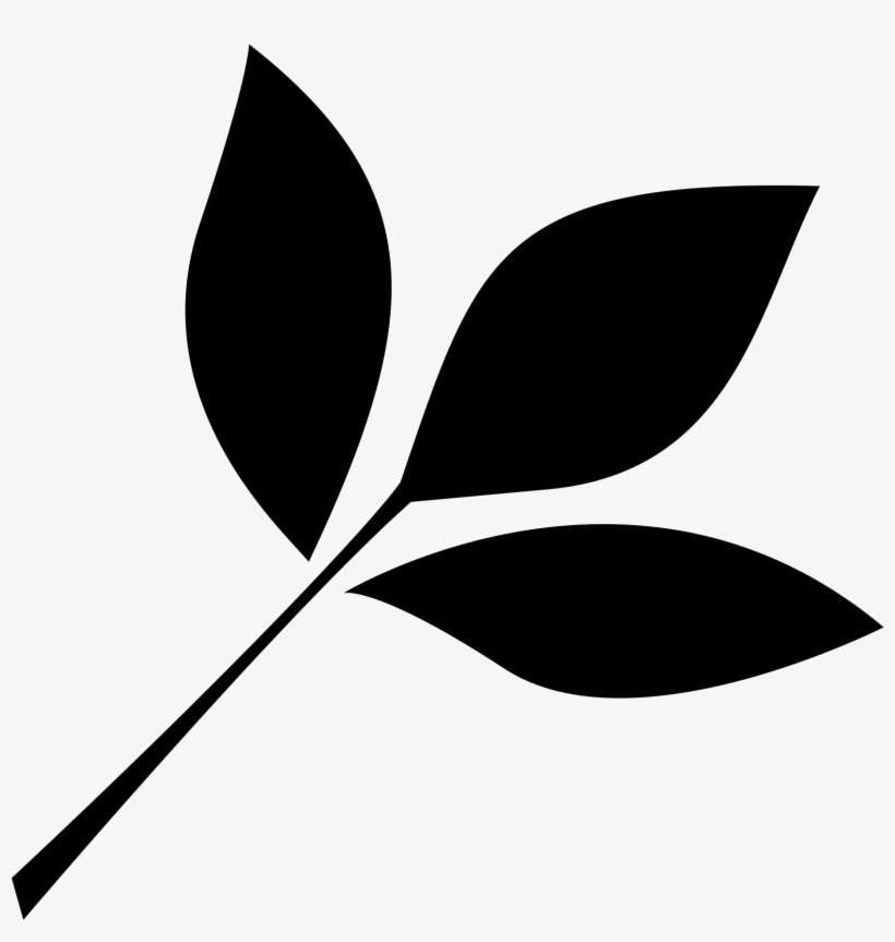 240 × 240 Pixels - Leaf Png Black And White, transparent png download