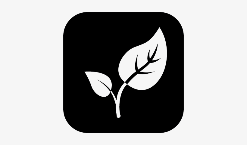 Couple Of Leaves On A Plant Branch White Silhouettes - Environmental Engineering Logo, transparent png download