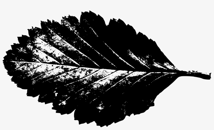 Big Image - Leaf Silhouette Clip Art, transparent png download