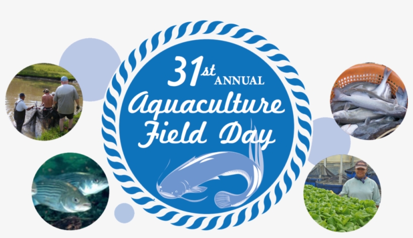 Aquaculture Field Day - Can You Believe It? Any Occasion Humor, Blank Inside, transparent png download