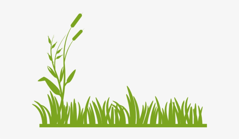Clip Art At Clker Com Vector Online - Green Grass Clipart, transparent png download