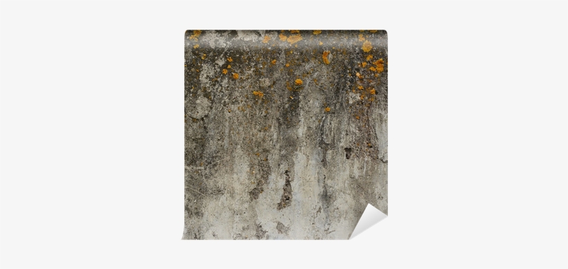 Concrete, transparent png download