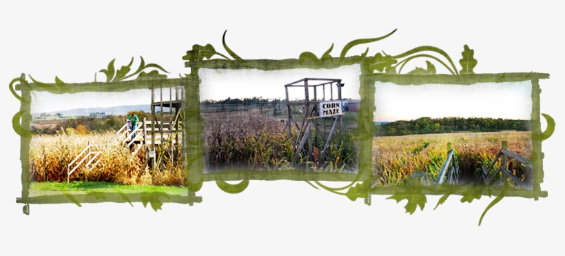 In 2000, We Created The "get Lost Corn Maze" - Freshwater Marsh, transparent png download
