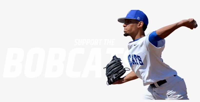 Bobcat, transparent png download